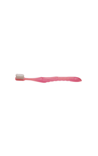 Brosse à Dents WISTITI